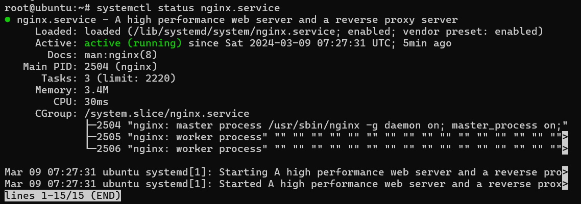 Nginx status