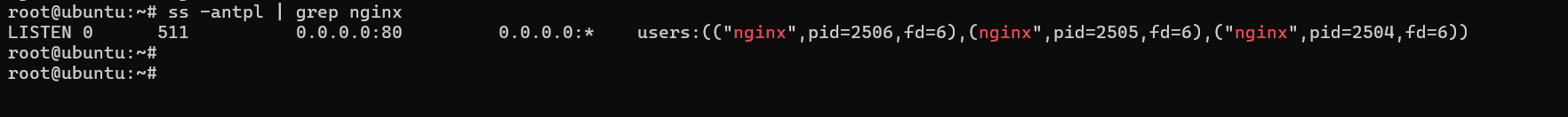 Nginx status