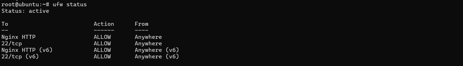 Nginx status